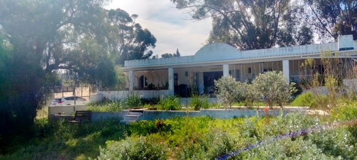 Unique Hopefield Central house for sale with gardens, solar system, and rental barn.