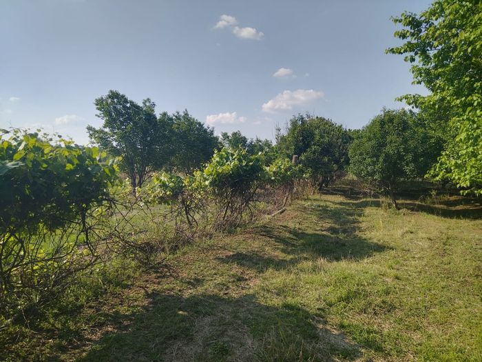 For Sale: 3.7-hectare smallholding in Derby with farmhouse, barns, and ample water supply.