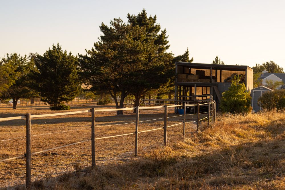 Stable and feeding barn