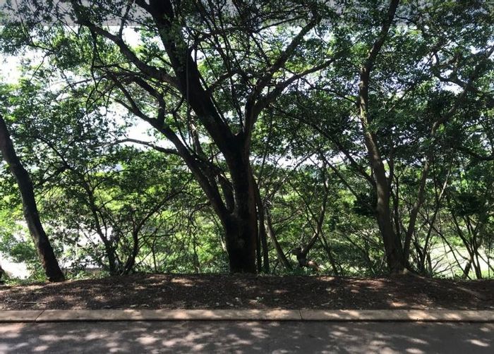Vacant Land Residential For Sale in Simbithi Eco Estate, 1250sqm with greenbelt views.