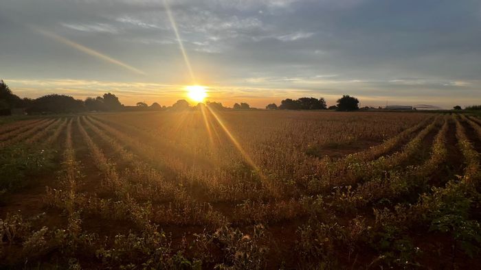 Vacant Land Residential in Droogefontein For Sale - 1.6 hectares, ideal for agriculture.