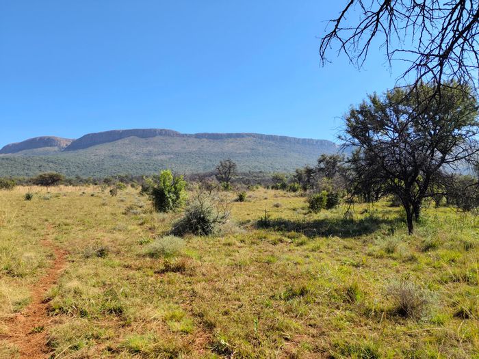 Hekpoort Farm For Sale: 60 hectares, multiple homes, boreholes, cattle facilities.