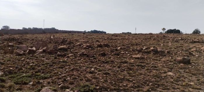 Walkerville Manor For Sale: 9812 m² vacant land, ideal for development opportunities.