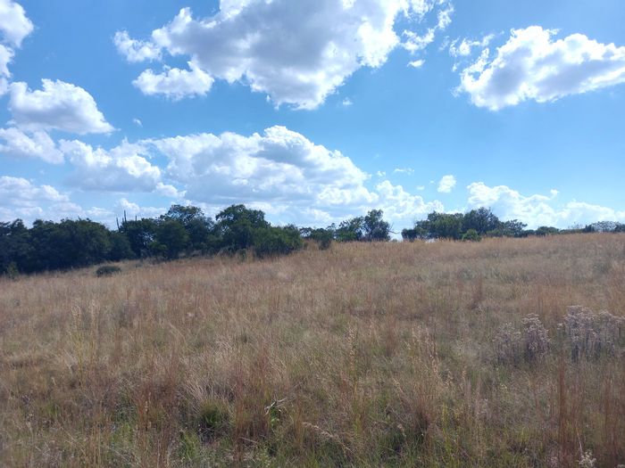 Vacant Land Residential For Sale in Doornrandje, 2Ha near Crocodile River Reserve.