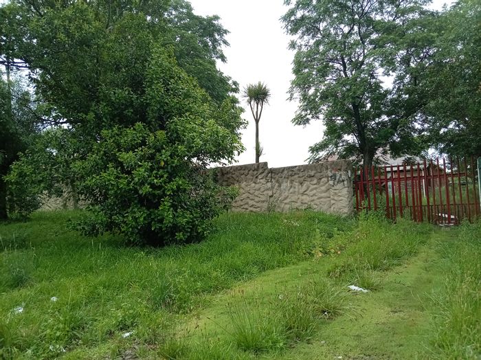 For Sale: House in Standerton Central, 6 bedrooms, large erf, renovation opportunity.