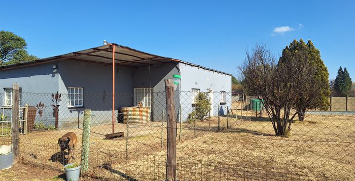 Nanescol Small Holding For Sale: Main house, flatlet, cattle facilities, and borehole.