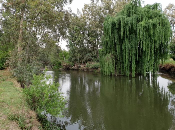 Vacant Land Residential For Sale in Riversdale: 70m riverfront, ideal for development.