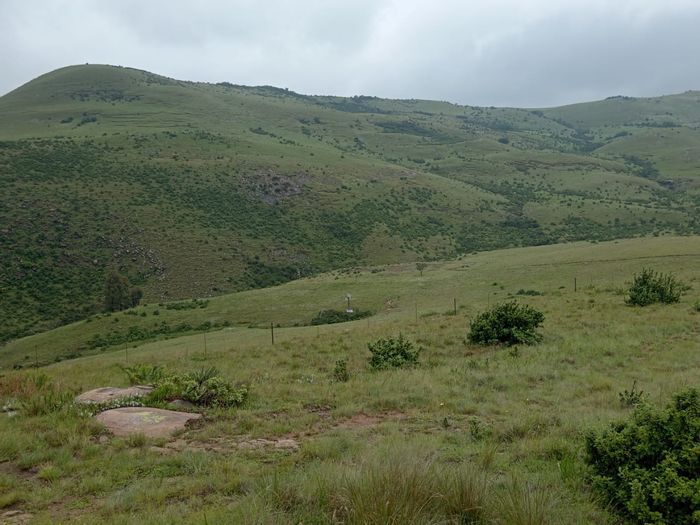 90 ha farm for sale in Memel Central, features grazing camps and off-grid utilities.