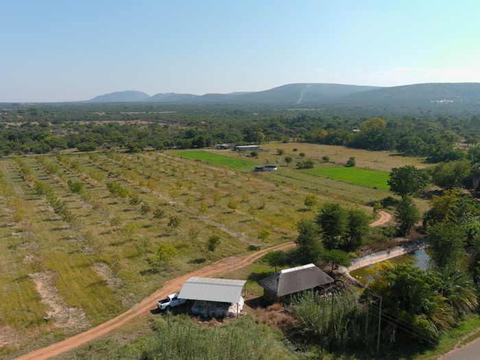 Bela Bela Central small holding for sale with borehole, tank, lapa, and staff quarters.