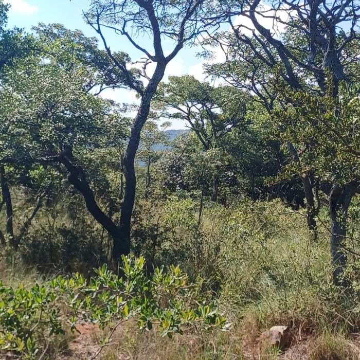 Vacant Land Residential For Sale in Bela Bela Central, 974 m² with unique wildlife views.