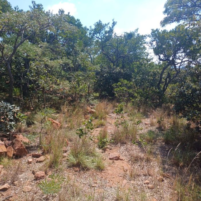 Vacant Land Residential for Sale in Bela Bela Central, featuring wildlife and natural beauty.