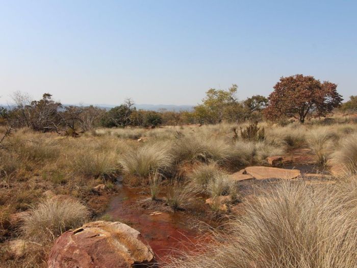 For Sale: 67 Ha Farm in Modimolle Central with two houses and diverse wildlife.