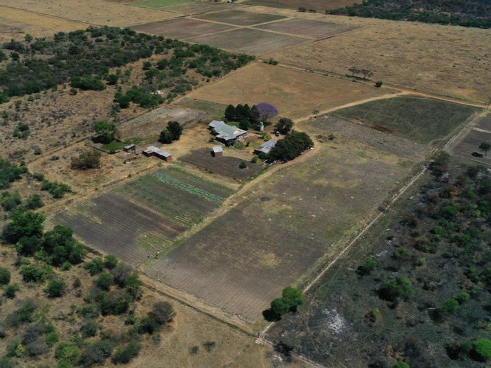 21HA Farm For Sale in Modimolle Central with irrigation, arable land, and home.