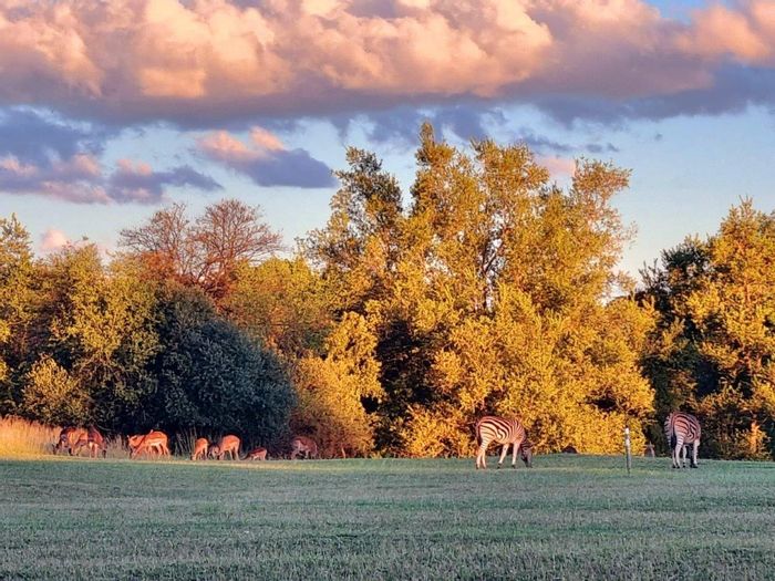 Vacant Land Residential For Sale in Koro Creek Golf Estate, golf course access included.