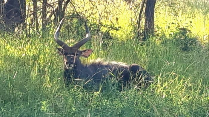 Vacant Land for Sale in Koro Creek Golf Estate with dual street access.