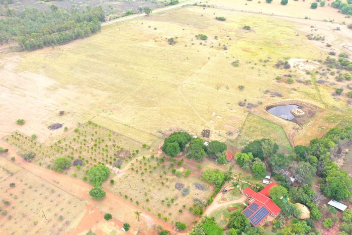 For Sale: 28-hectare farm in Modimolle Central with water access and livestock facilities.