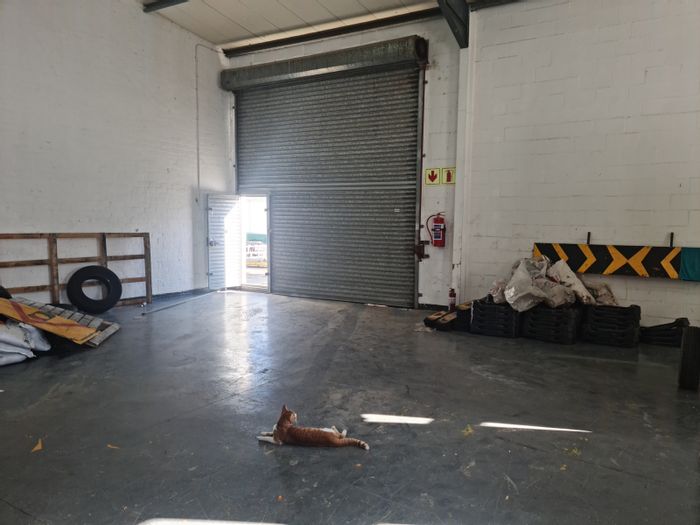 Industrial Warehouse To Rent in George Park: 309m2, secure, with 3-phase power.