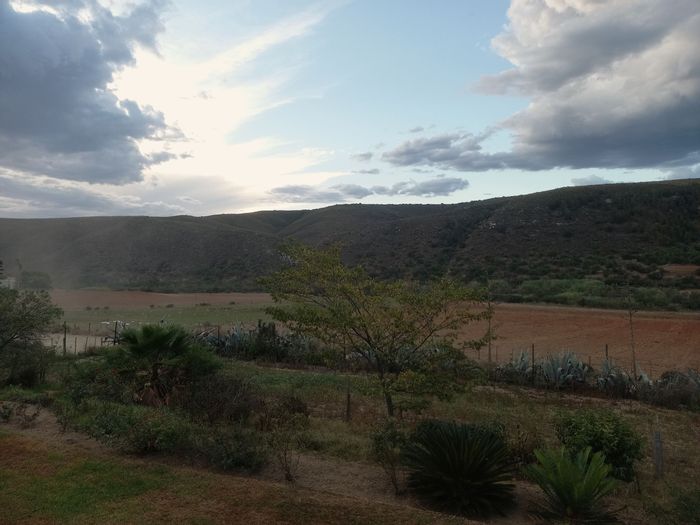 Uniondale Rural Farm For Sale: 105ha with 4-bedroom home, arable land, water supply.