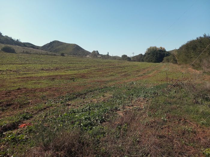George Rural Small Holding For Sale: 2.4 ha, river access, off-grid potential.
