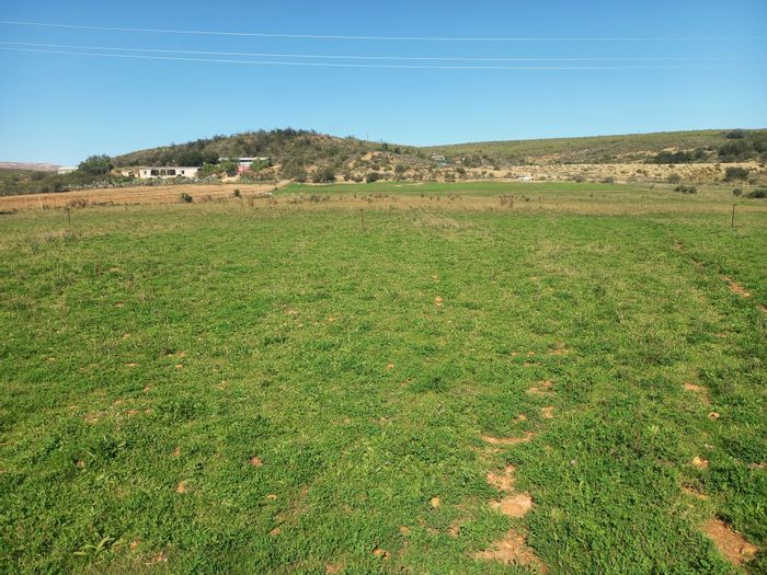 George Rural Small Holding For Sale: 3.2ha with river access and arable land.