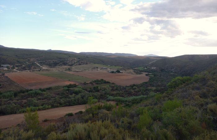 For Sale: 102ha Farm in George Rural with 4-Bedroom Home and Water Supply.