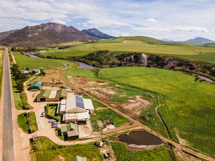 Caledon Rural Farm For Sale: Dairy operation, cheese factory, arable land, and solar power.