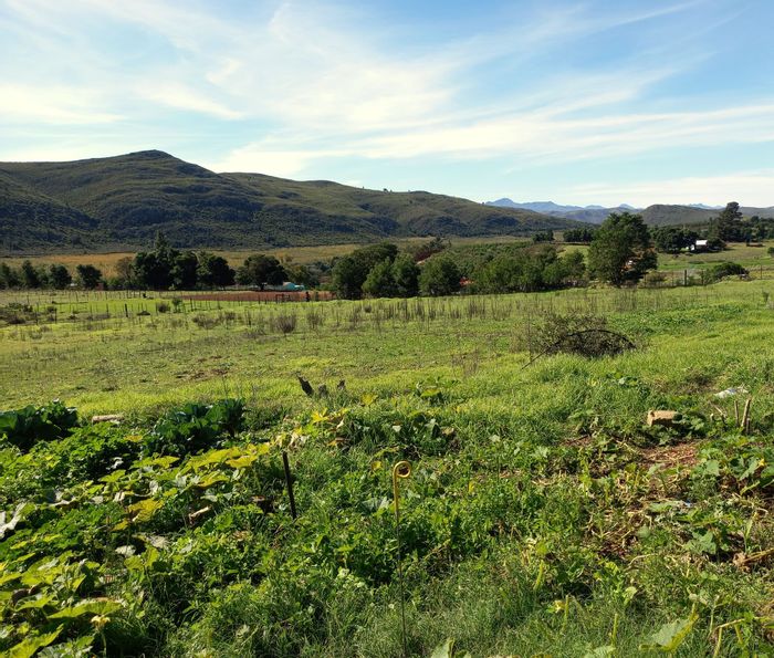 Haarlem small holding for sale: 4293 sqm, arable land, solar system, water access.