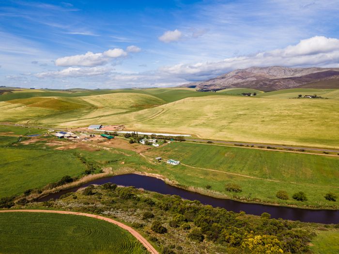 Farm for Sale in Stanford Central: Dairy, cheese factory, guest accommodations, ample water rights.