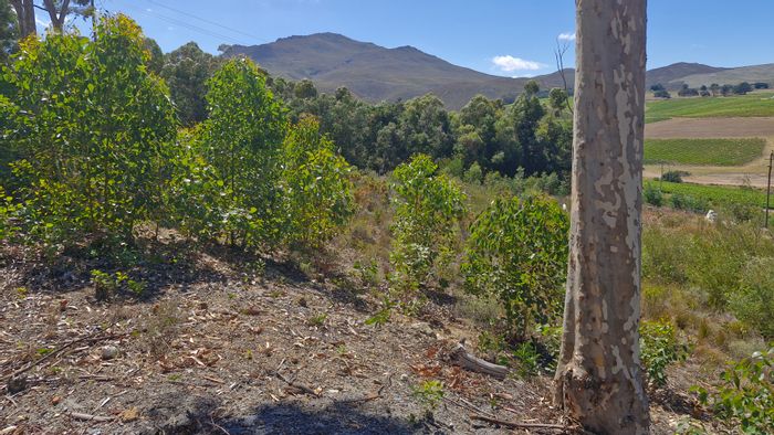 Vacant Land Residential for Sale in Hemel En Aarde Valley with diverse potential.