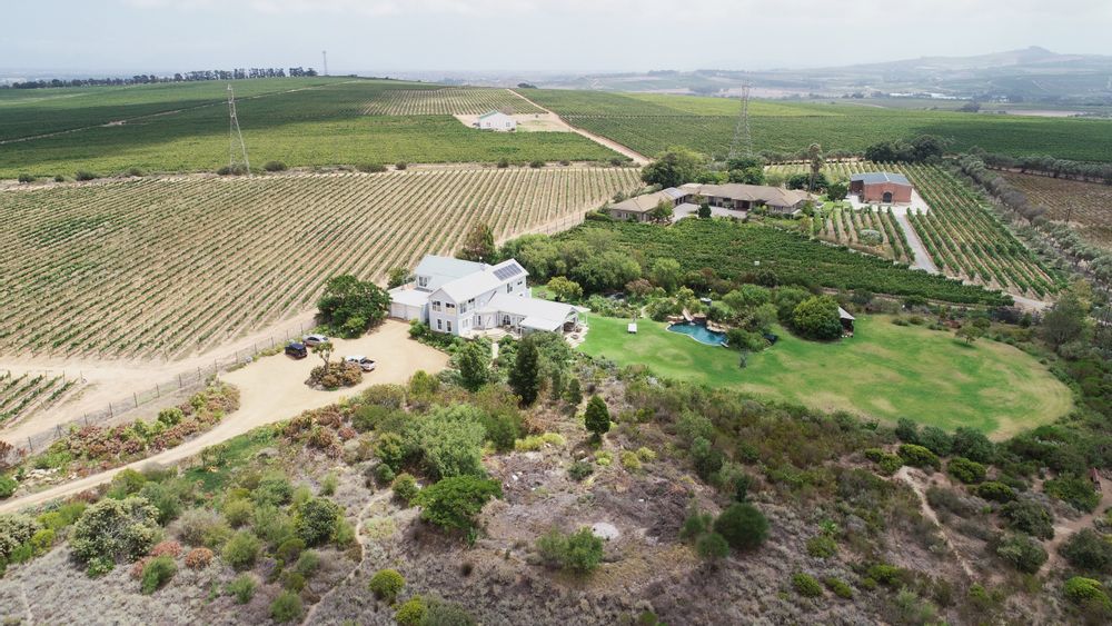 Indigenous garden - western views towards Cape Town