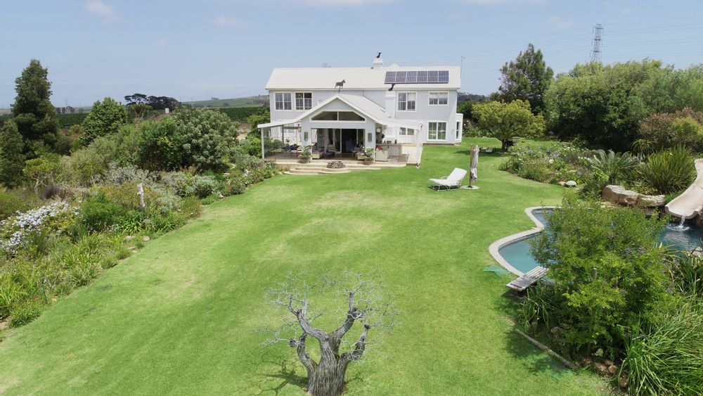 Pool and water features - lawn
