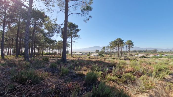 Vacant Land Residential For Sale in Bot River Central - 595sqm plot, great potential.