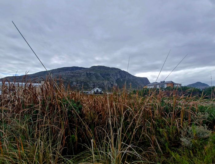 Vacant Land Residential for Sale in Bettys Bay Central with ocean views and trails.