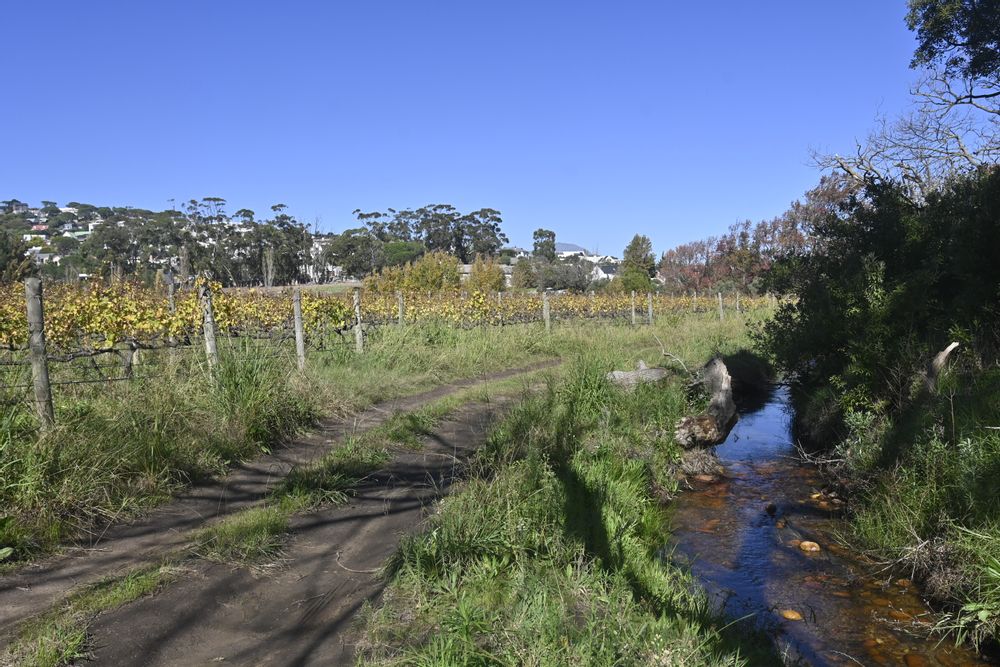 One of the 2 canals on the farm