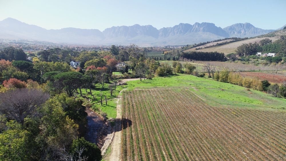 Views towards Morgenster Wine & OIive Estate and Mountains behind Vergelegen Wine Estate
