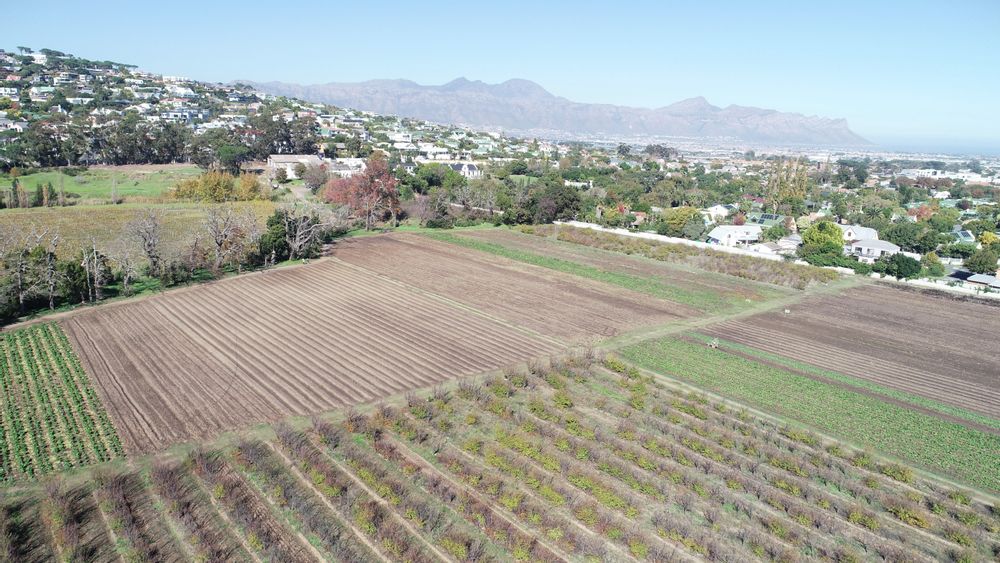 Southeastern views across foot of Schapenberg Hill & part of Rome Glen suburb of Somerset West