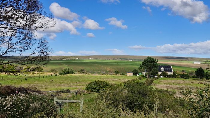 For Sale: 7.34 Ha Vacant Land in Baardskeerdersbos Central – Ideal for Lifestyle Farm