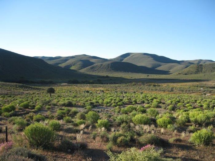 For Sale: 4623-hectare farm in Calvinia Central with ample water and grazing.