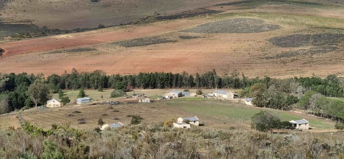 For Sale: 210HA Uniondale Farm with Truffle Project, Six Dwellings, and Extensive Amenities