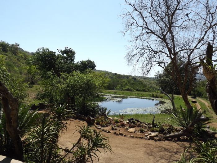 For Sale: Barberton Central Farm with water rights, arable land, and game species.