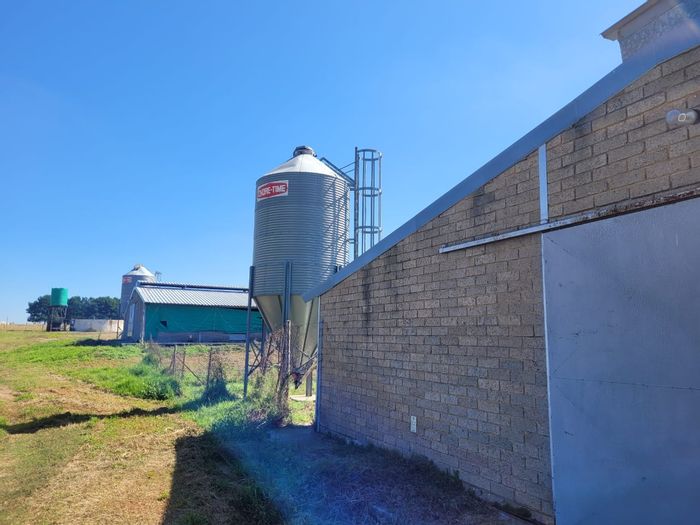 For Sale: 22 Hectare Egg Farm in Bapsfontein with multiple chicken houses and staff accommodation.