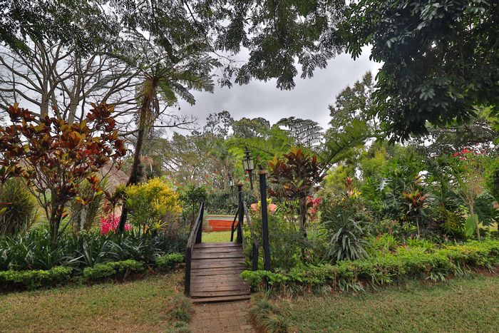 For Sale: White River Rural Small Holding with water supply, orchard, and rental units.