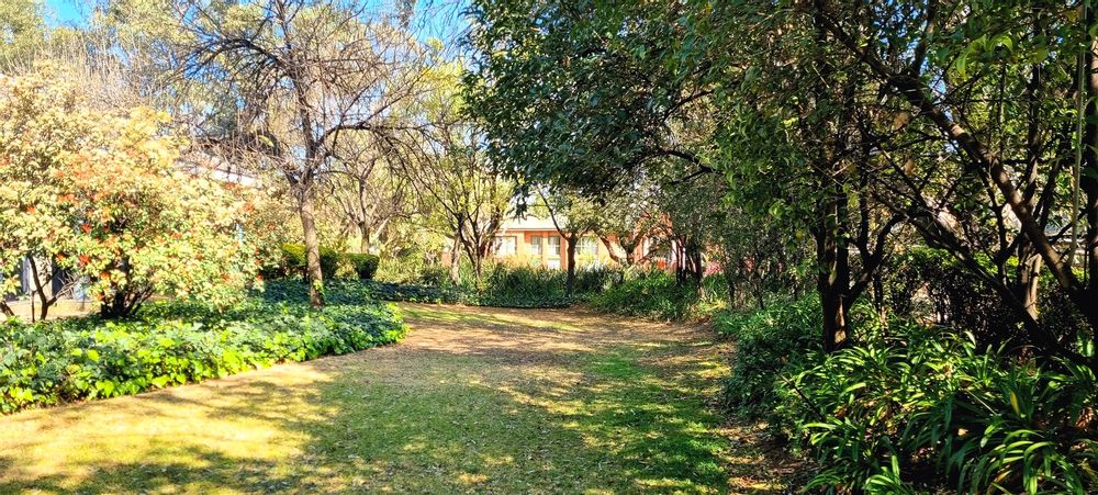 21 Saddle Drive-Woodmead (9)