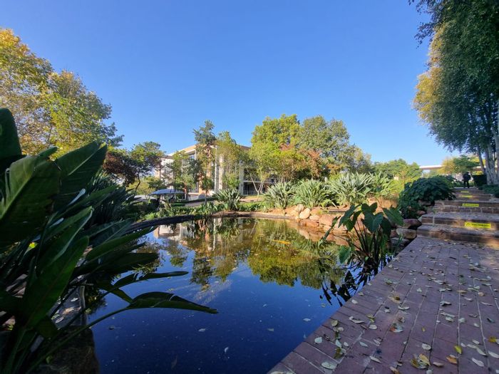 Bryanston Office To Rent: Open plan suite, 6 offices, 24-hour access, coffee shop.