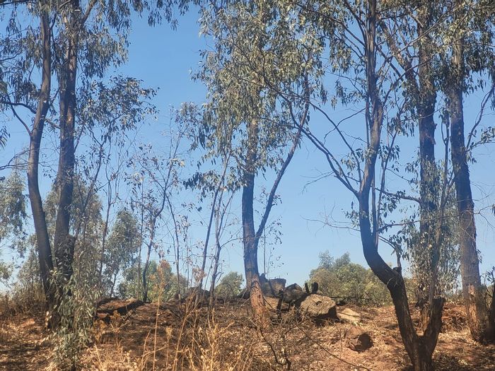 For Sale: 14 Hectares Vacant Commercial Land in Clayville East, ideal for development.