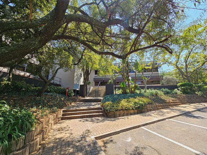 Woodmead Office To Rent: Scenic park, backup power, Gautrain shuttle, corporate venue.