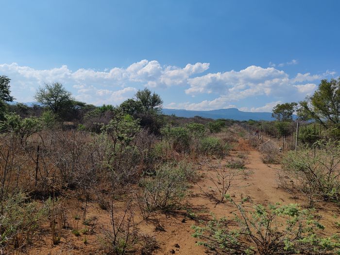 For Sale: Farm in Louis Trichardt Rural with multiple plots and borehole access.