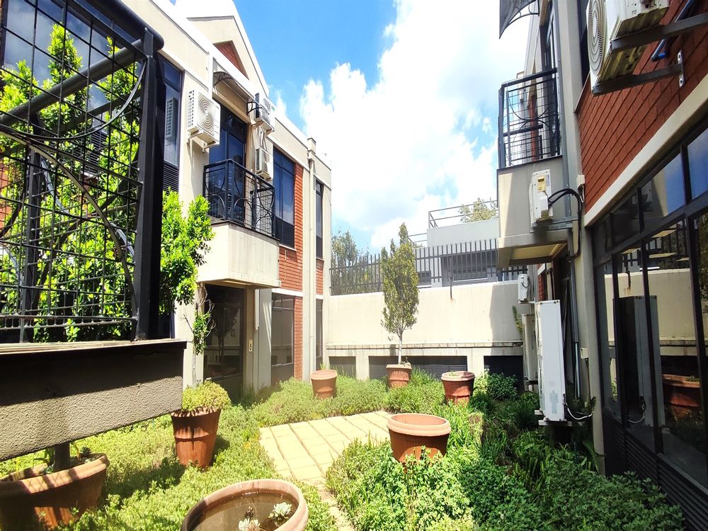 Rosebank Terrace - Rosebank - Courtyard
