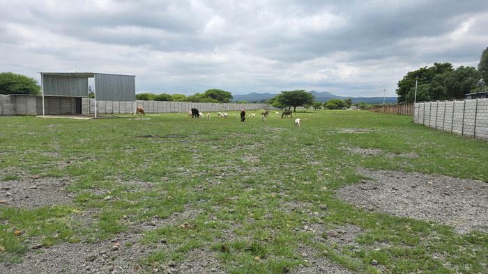 For Sale: Small Holding in Renosterfontein AH with multiple dwellings and business potential.