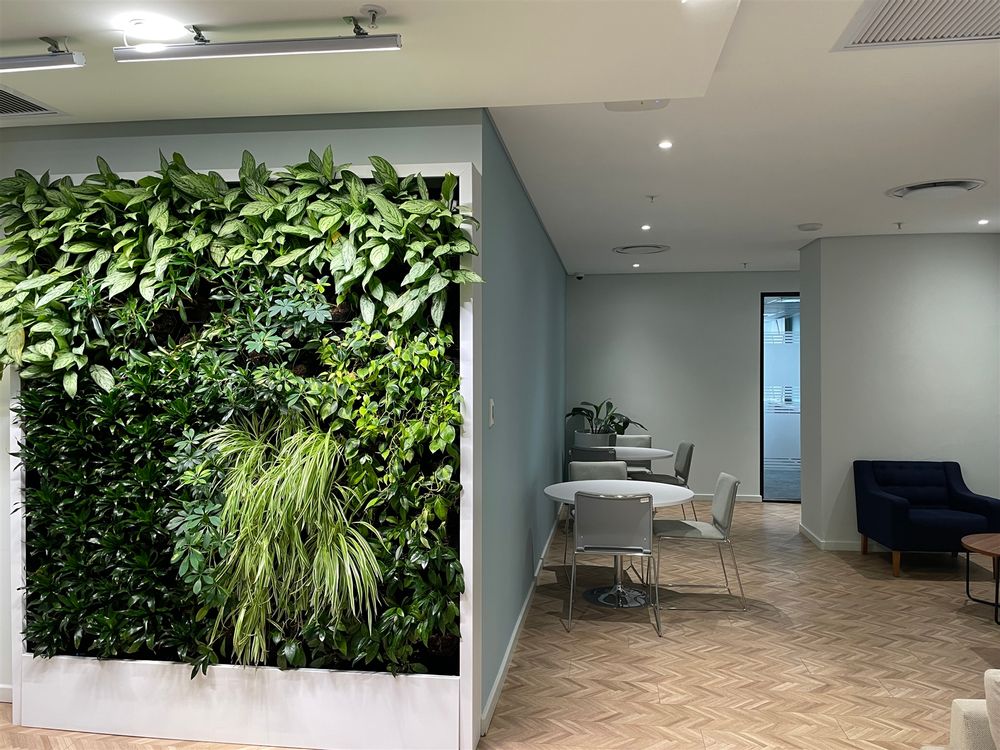 Rosebank Firestation-Rosebank-7thFl 491m² (17)